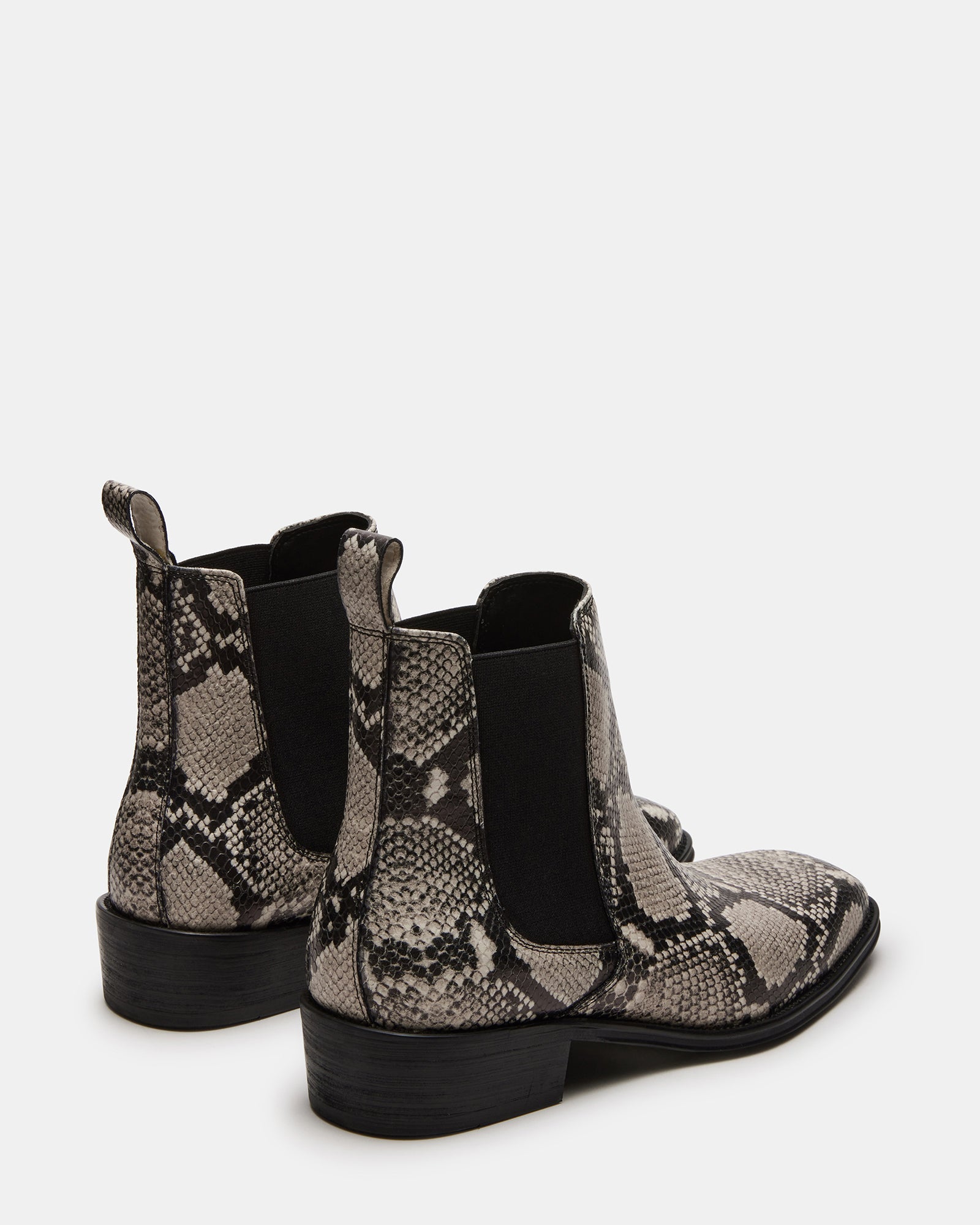 HARTE WHITE SNAKE - SM REBOOTED