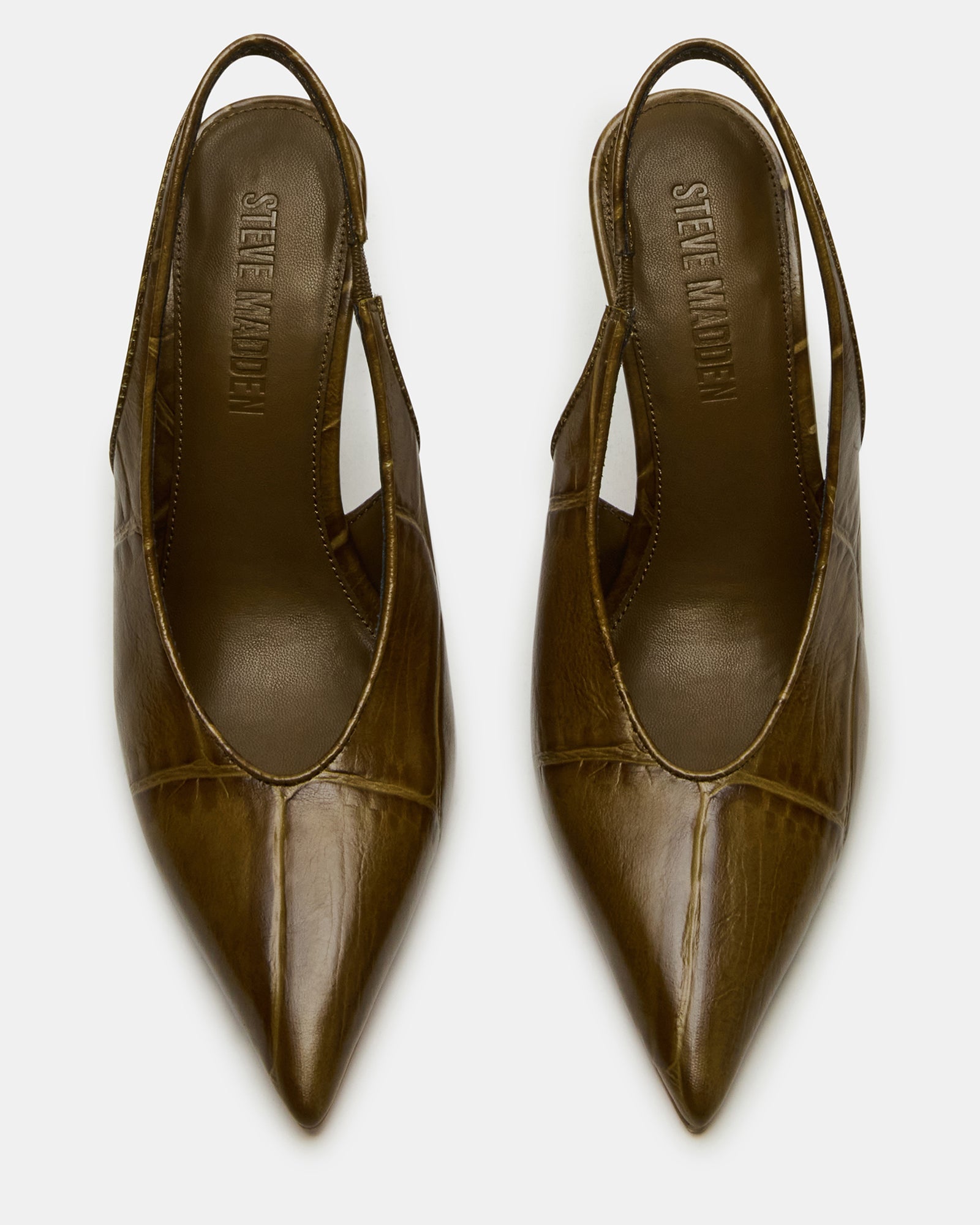 ANDROMEDA GREEN CROCODILE